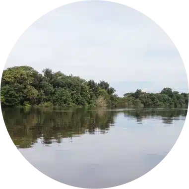 <p>O projeto hidrelétrico no rio Xingu evoluiu ao longo de 40 anos para minimizar impactos sociais, ambientais e econômicos. A área alagada foi reduzida de 18.300 km² para 478 km², evitando a inundação de terras indígenas. O Estudo de Impacto Ambiental (EIA) propôs diferentes cenários de vazão, com o Estado optando pelo Hidrograma de Consenso, alternando entre os hidrogramas A e B para equilibrar a produção de energia e a preservação da biodiversidade.</p>
<p>Desde novembro de 2019, a UHE Belo Monte opera plenamente, com o Trecho de Vazão Reduzida (TVR) abrangendo cerca de 100 km do rio Xingu. Apesar de um contrato de concessão exigir testes do Hidrograma após seis anos, o Ibama solicitou alterações nas vazões mínimas, levando à criação do Termo de Compromisso Ambiental (TCA) em fevereiro de 2021. O TCA estabeleceu a aplicação do Hidrograma B e exigiu medidas adicionais de mitigação e compensação para a Volta Grande do Xingu.</p>
<p>Em 2021, a Norte Energia completou os estudos complementares solicitados, mas o Ibama ainda não finalizou a análise. A empresa, o Ministério Público Federal e o Ibama buscaram a suspensão de uma decisão liminar no TRF1ª Região, que decidiu manter a aplicação do Hidrograma B. Em 2023, a Norte Energia continua a aplicar o Hidrograma B e a implementar as medidas do TCA e do licenciamento ambiental, mantendo uma comunicação contínua com órgãos ambientais e comunidades locais.</p>
